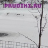 Зимовка рыб и растений в пруду - техника для водоёма!