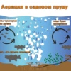 для чего нужна аэрация в пруду