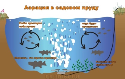 для чего нужна аэрация в пруду