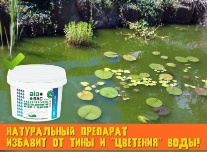 бактерии для очистки воды в пруду