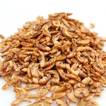 Корм гаммарус