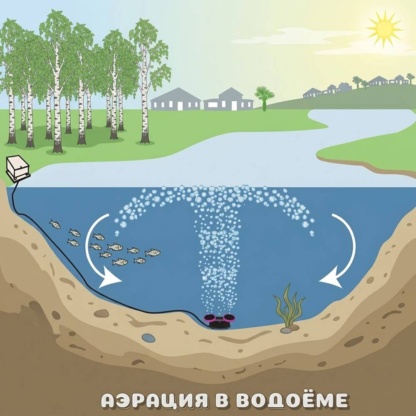 АЭРАЦИЯ в водоёме на даче