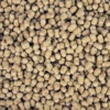 sera_Pond_Sticks_Energy_Plus_Nature_Detail