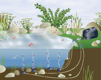 Прудовая аэрация воздухом от компрессора с распылителем