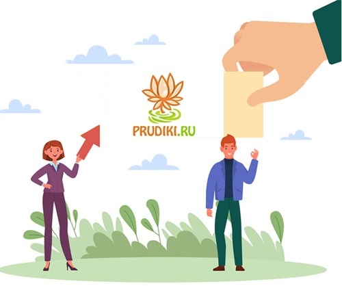 Prudiki account