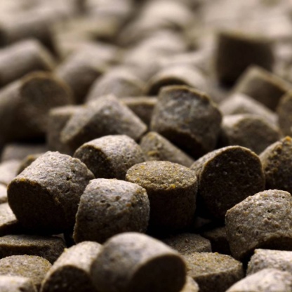 Fish food IDEALEX Premium