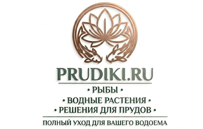 logo-PRUDIKI.RU