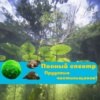 Чистильщики для пруда, создание чистой воды в водоёме!