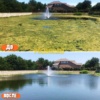algae-before-after - Очистка пруда от водорослей