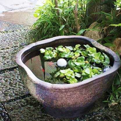 Пруд в вазоне - Украшение сада