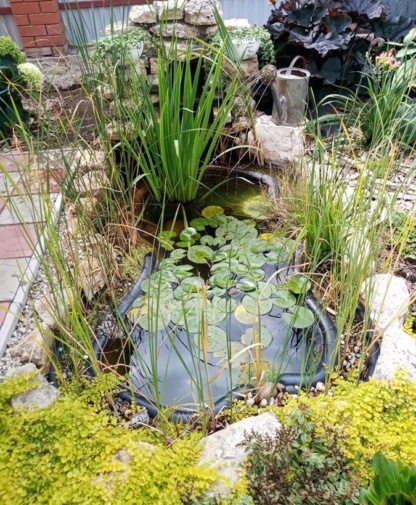 Красивый Российский пруд